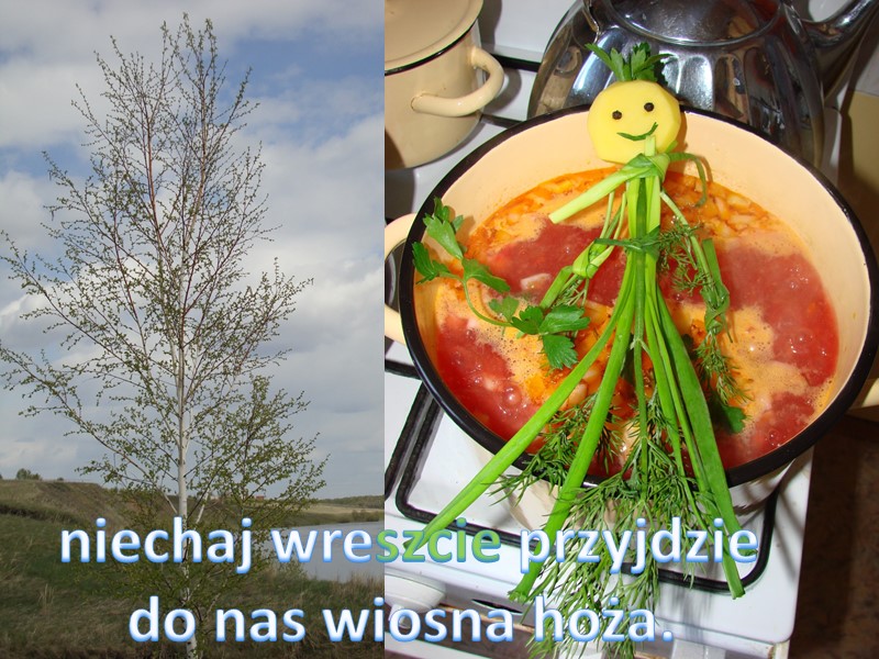 niechaj wreszcie przyjdzie do nas wiosna hoża.